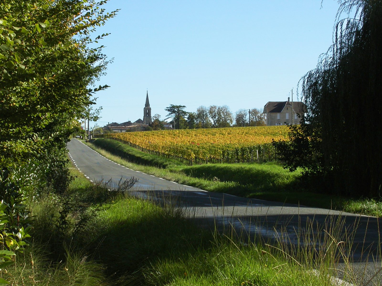 Viñas en colores de otoño en Saint-Christophe-des-Bardes, Saint-Émilion